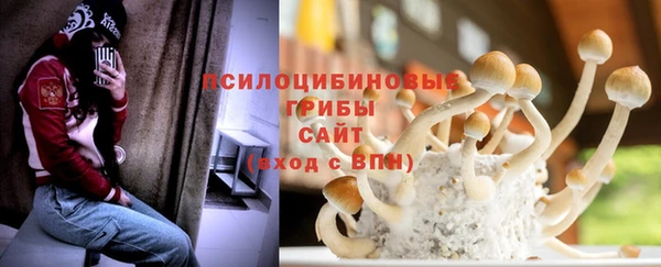 винт Снежногорск